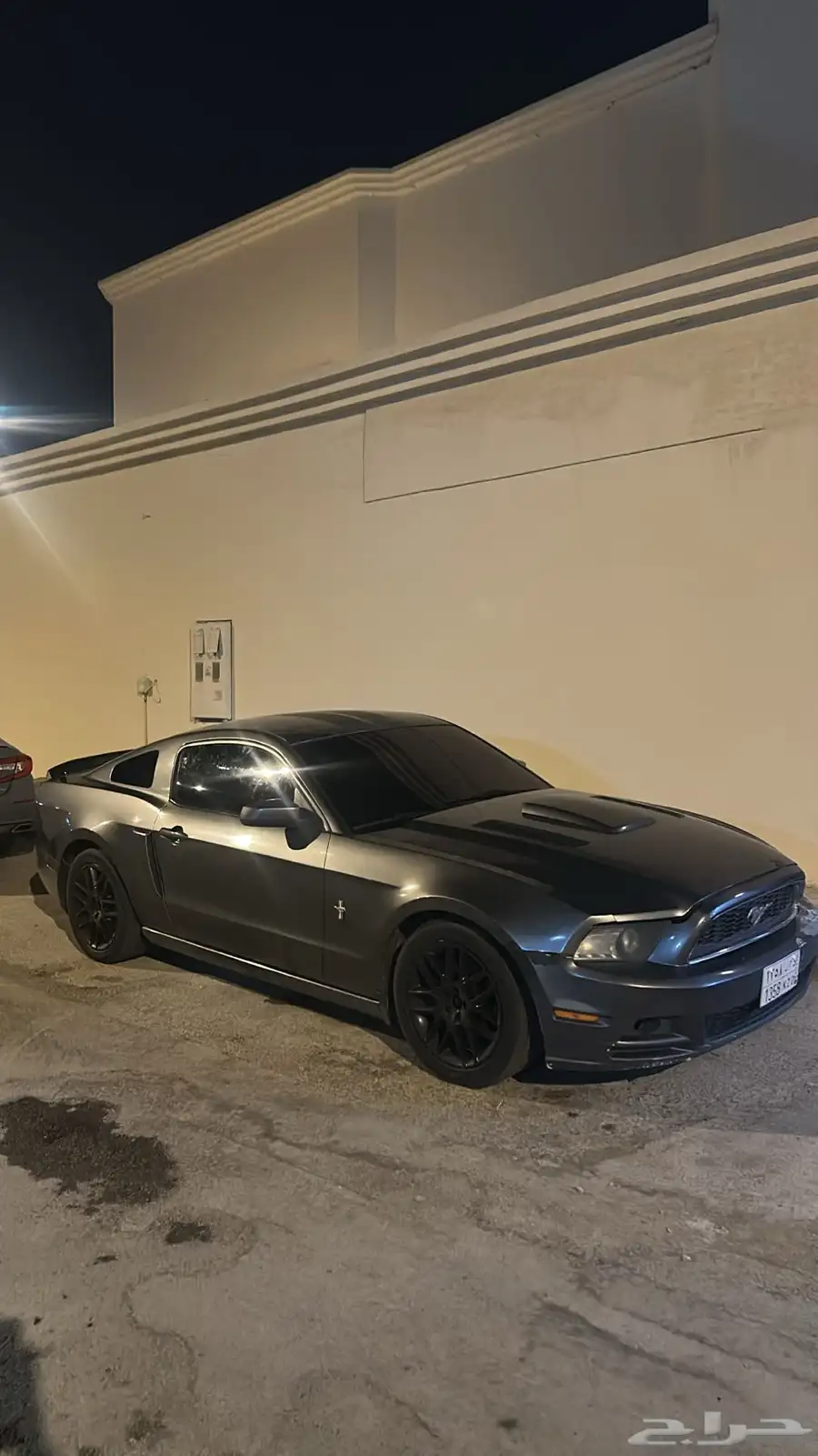 موستنج 7