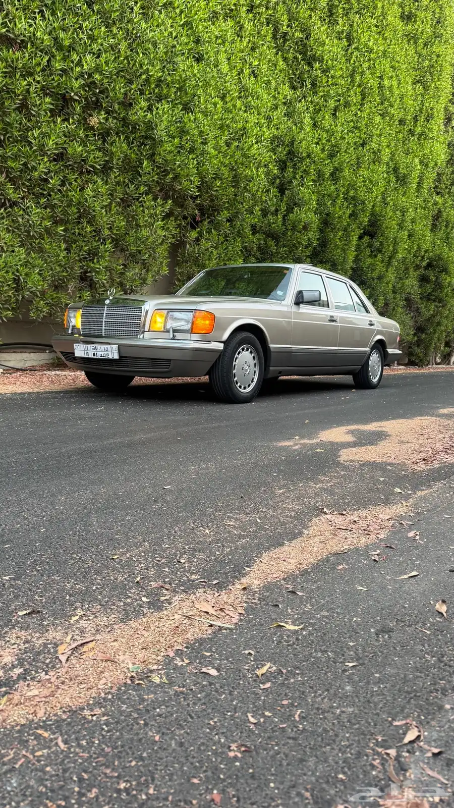 للبيع مرسيدس SEL300 1989 لهواة النوادر والمخزن 10
