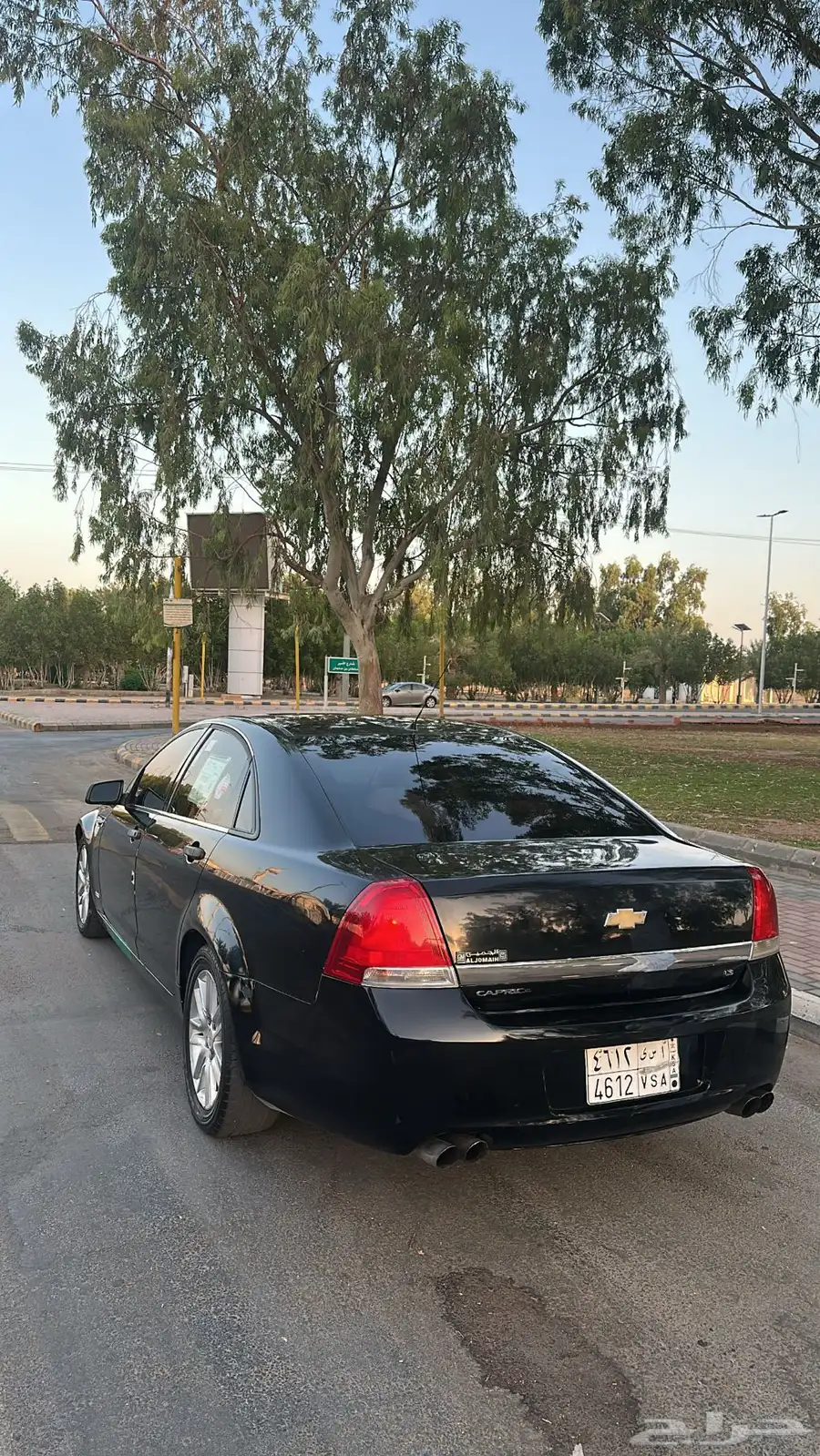 كابرس 2009 مرهم 13 3