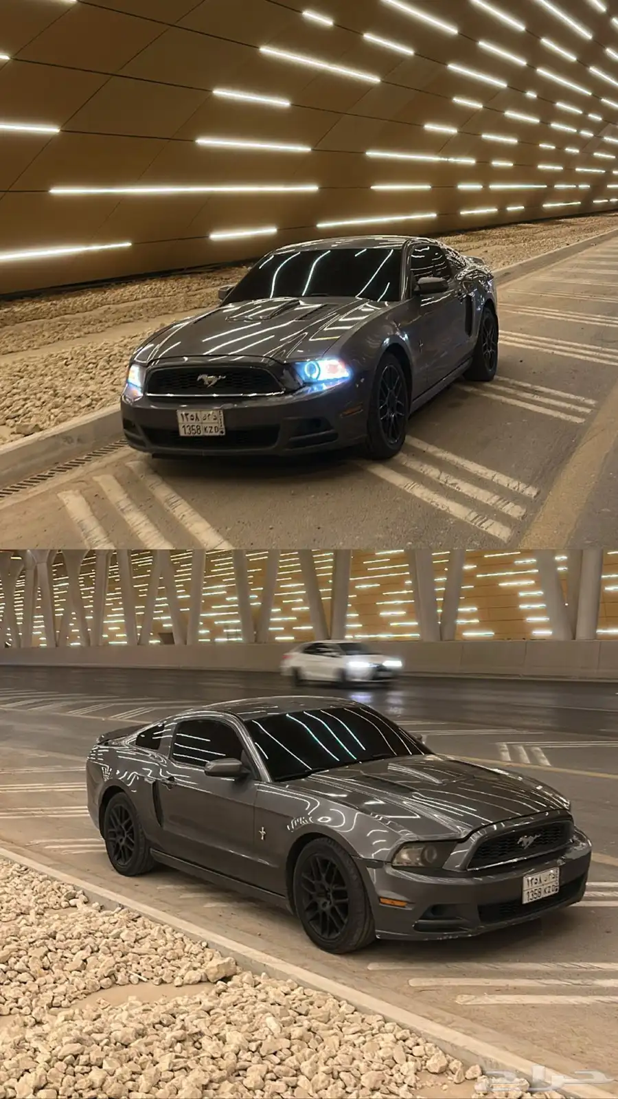موستنج 1