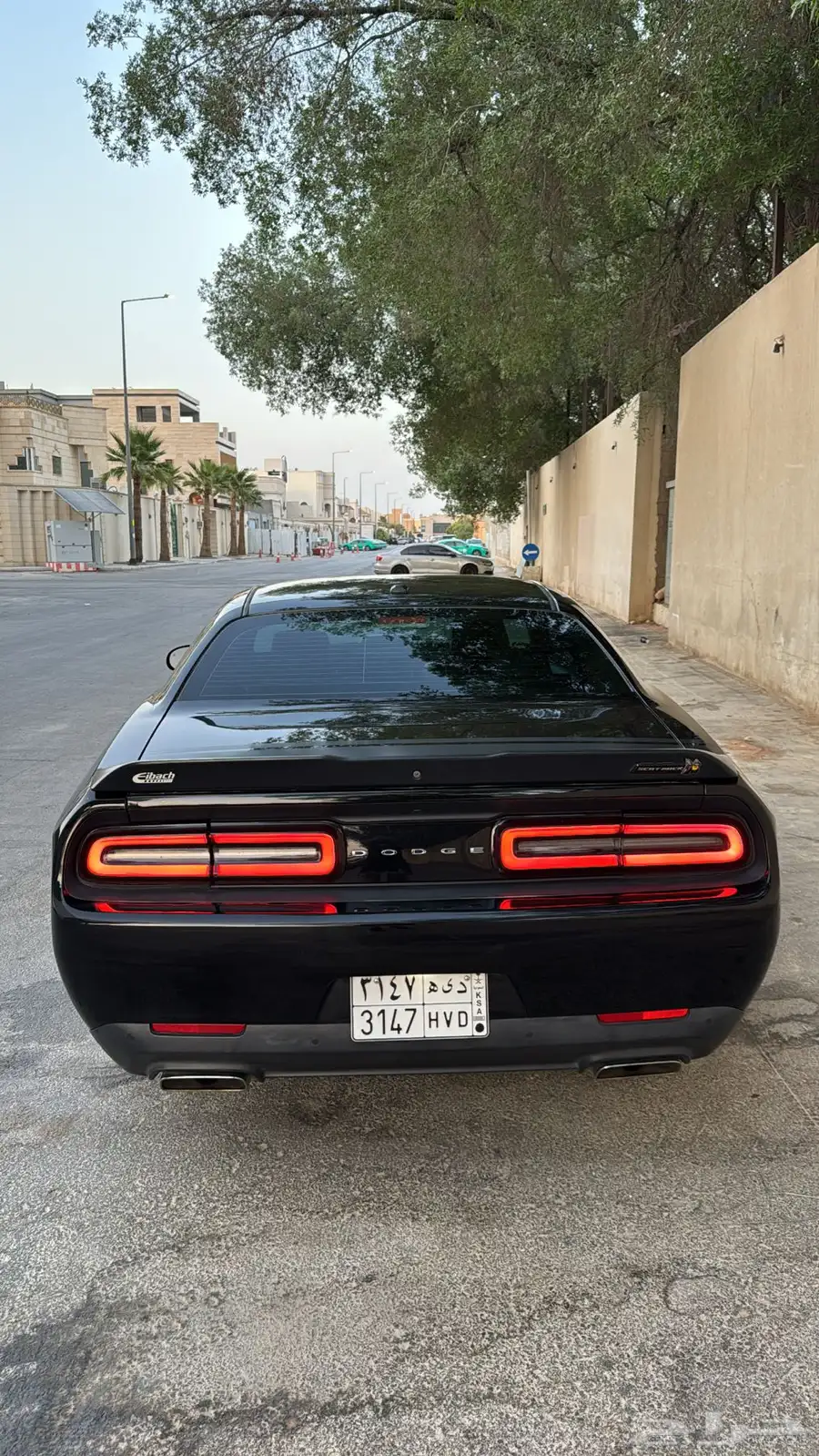 تشالنجير سكات باك ( STR )   ( SHAKER ) 10