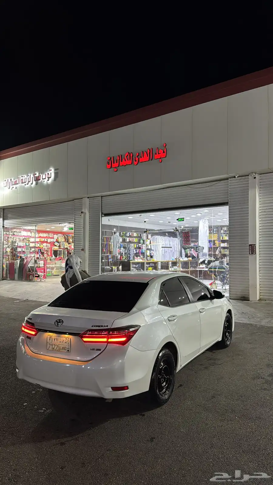كوريلا 2019 4