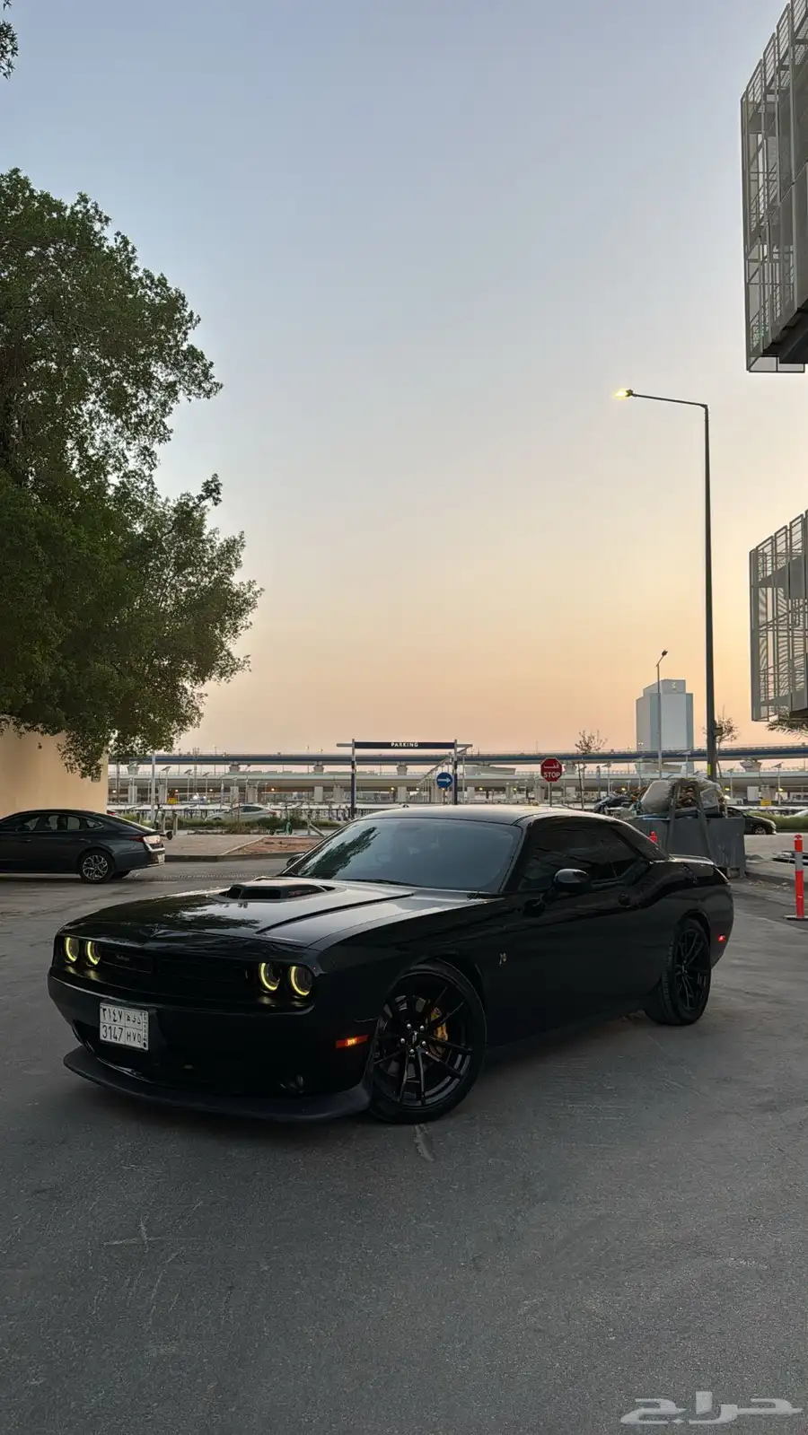 تشالنجير سكات باك ( STR )   ( SHAKER ) 20
