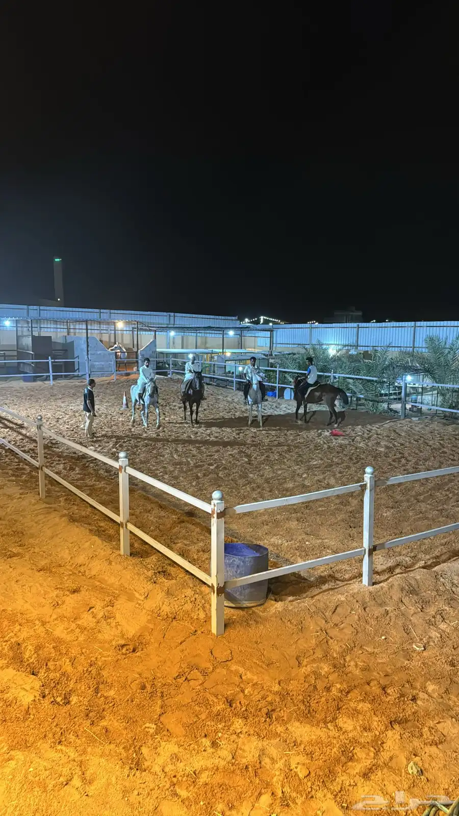 ايواء للخيل   حصص تعليميه   ايجار يومي 1