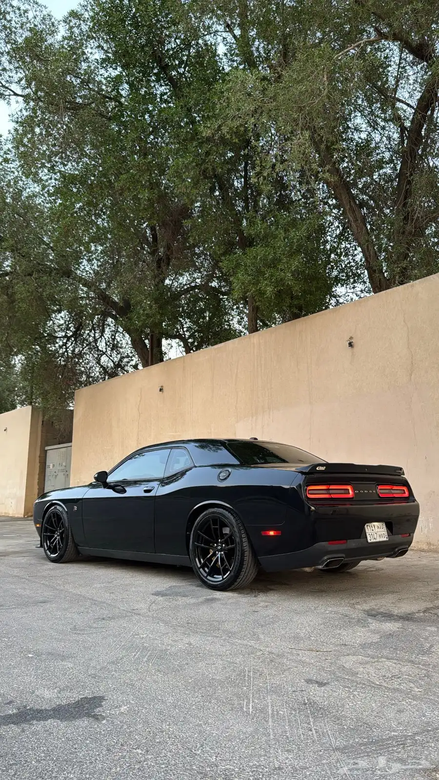 تشالنجير سكات باك ( STR )   ( SHAKER ) 9
