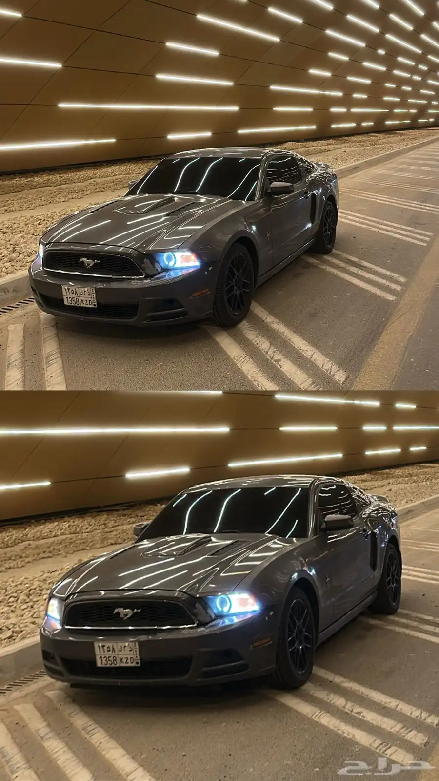 موستنج 0