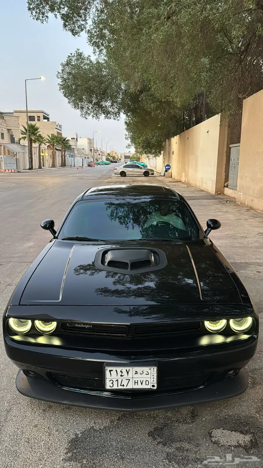 تشالنجير سكات باك ( STR )   ( SHAKER ) 1