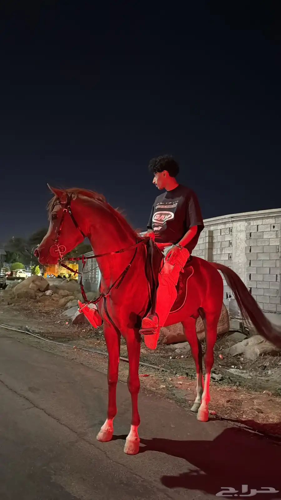 حصان واهو 0