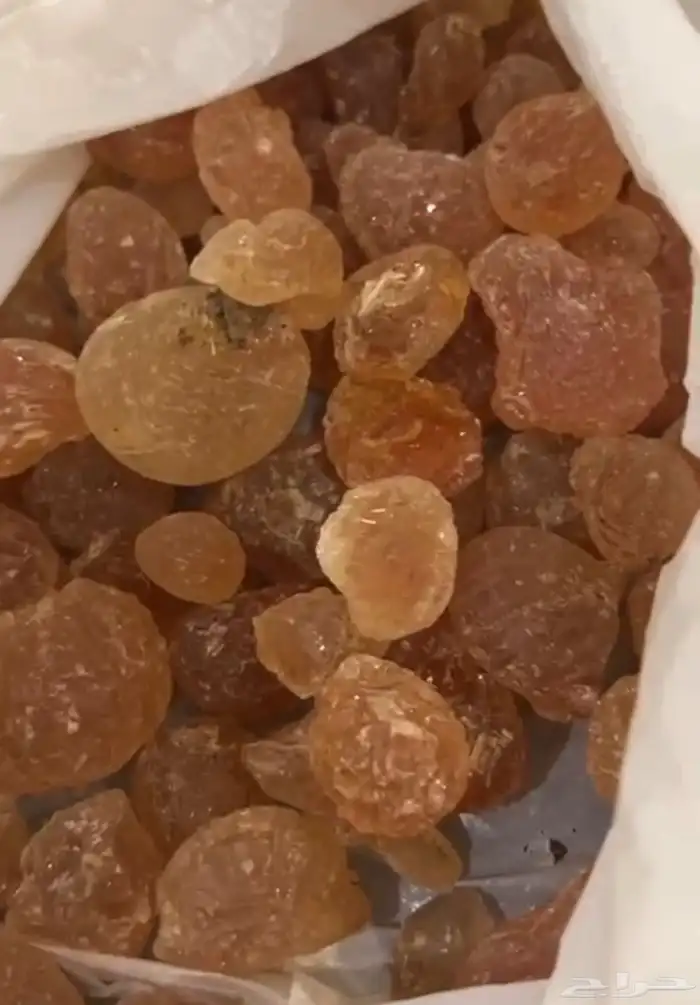 صمغ عربي 0