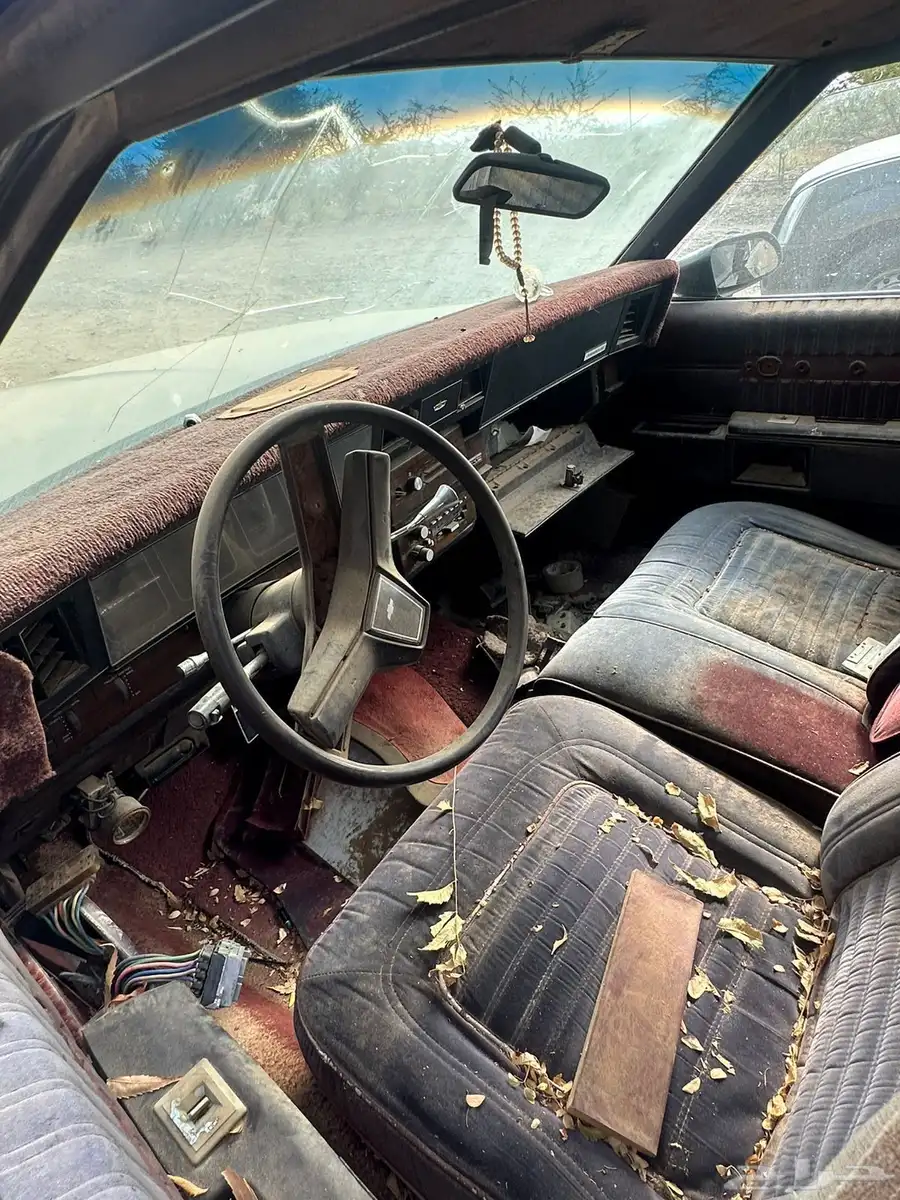كابرس 1989 1