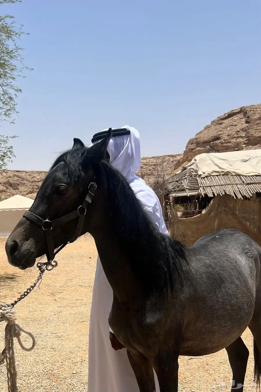 مهر شعبي(البيع سمح) 3