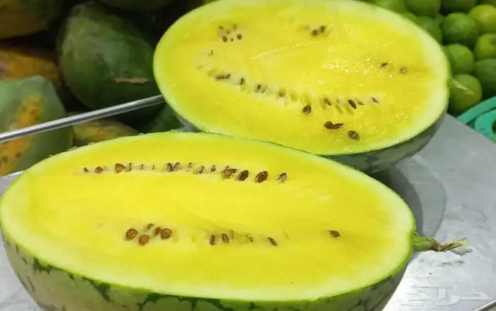 توريد خضار وفواكه للمطاعم. الفنادق صلات أعاشه محلات اسواق 12