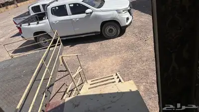 للبيع شنجان صيني للبيع 12