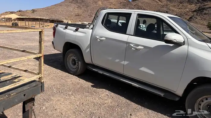 للبيع شنجان صيني للبيع 10