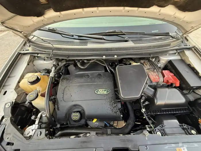 فود ايدج 2014 20