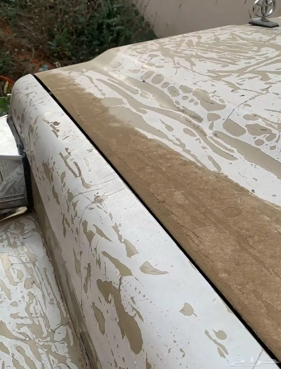 شاص نظيف تم البيع 10