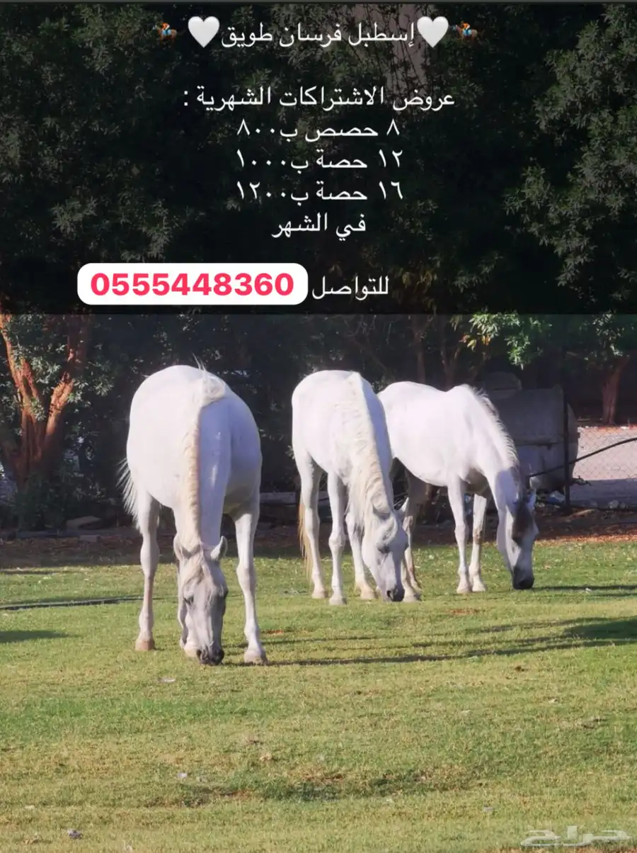 تدريب فروسيه index