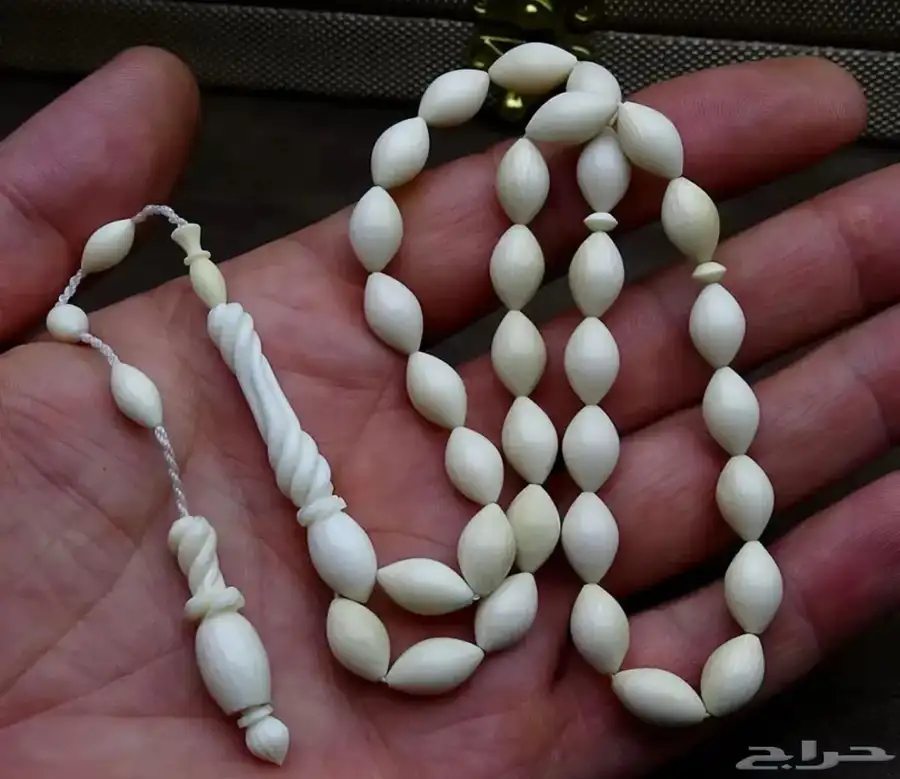 سبح نوادر 5