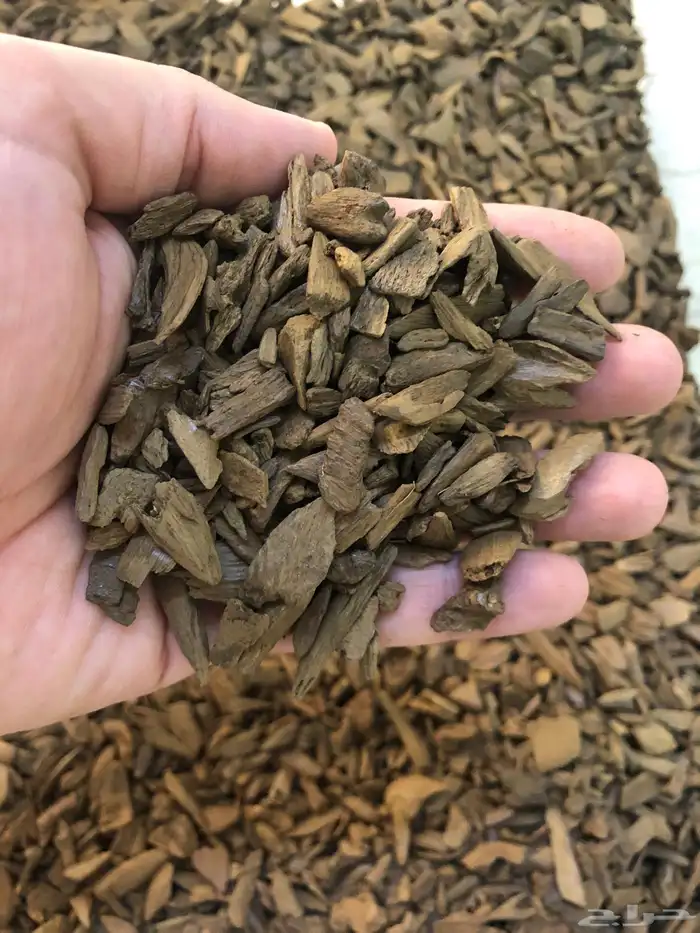 عود موروكي طبيعي 3