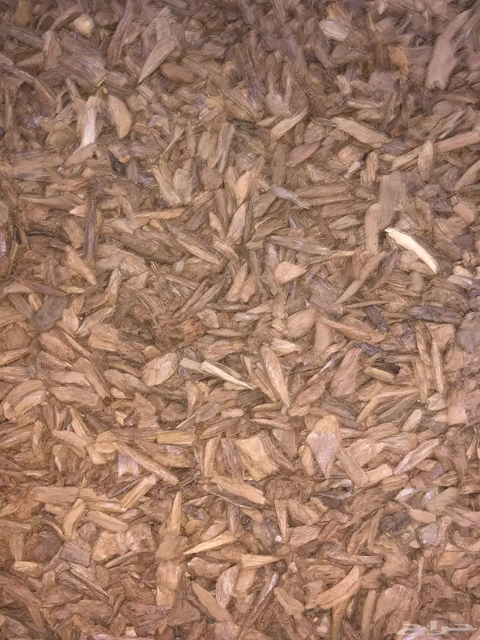عود موروكي طبيعي 1