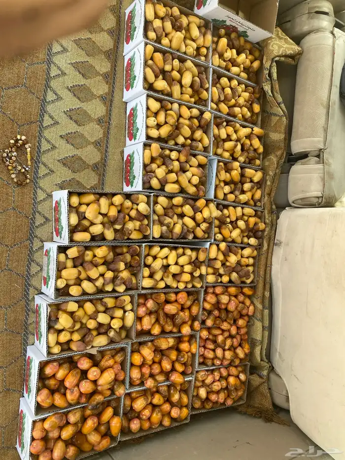 خرفه شكل و صفرا 0