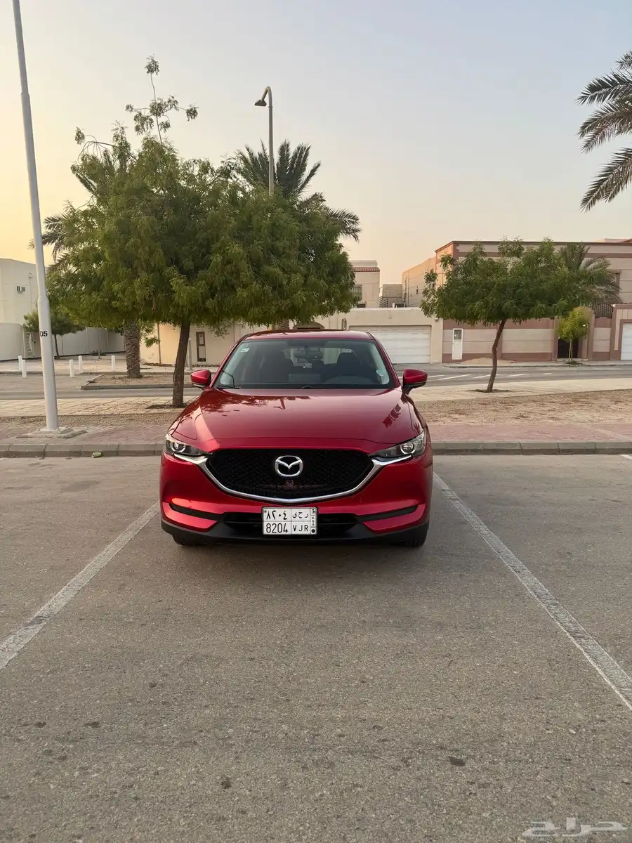 تم البيع 1