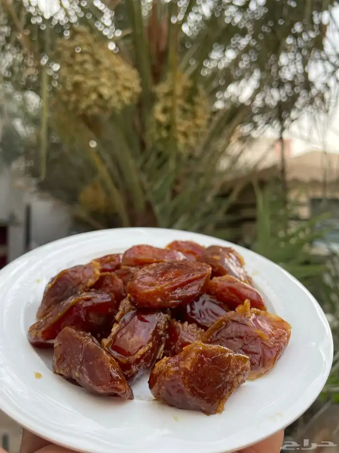 تمر خلاص فاخر 3