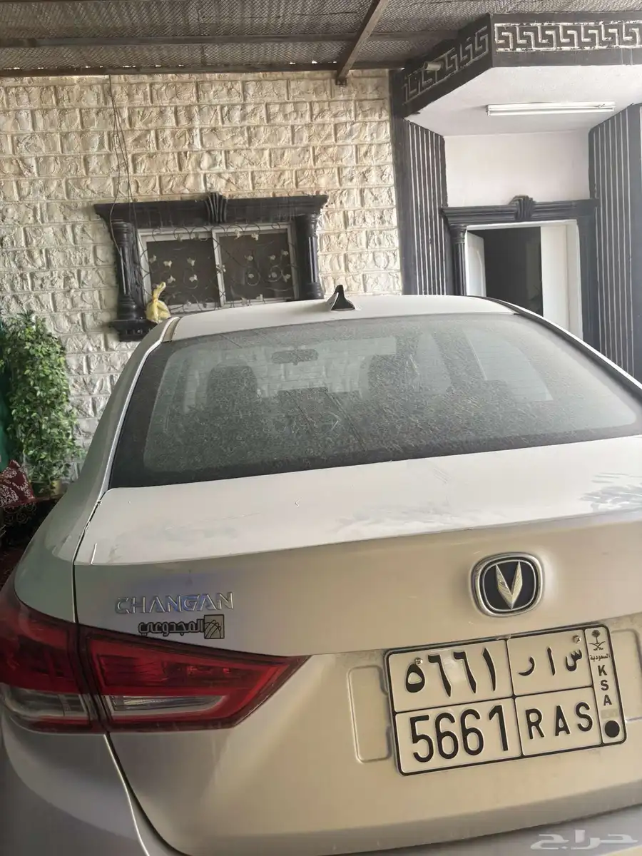 شانجان السفن 2025 2