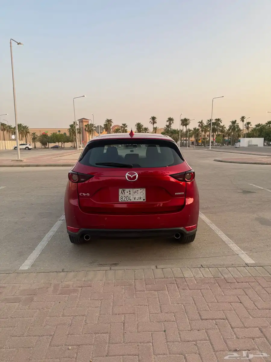تم البيع 5