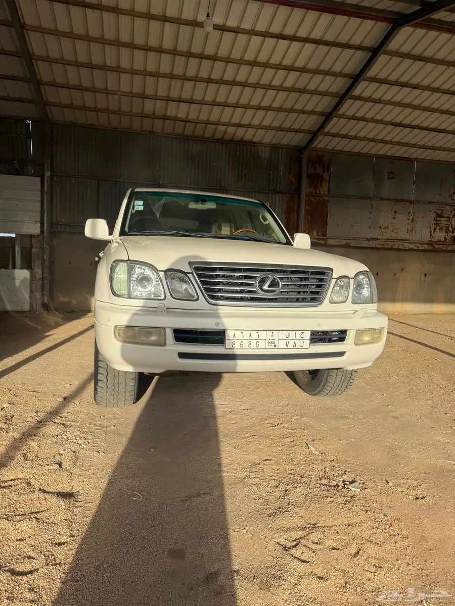 الرويضه 3