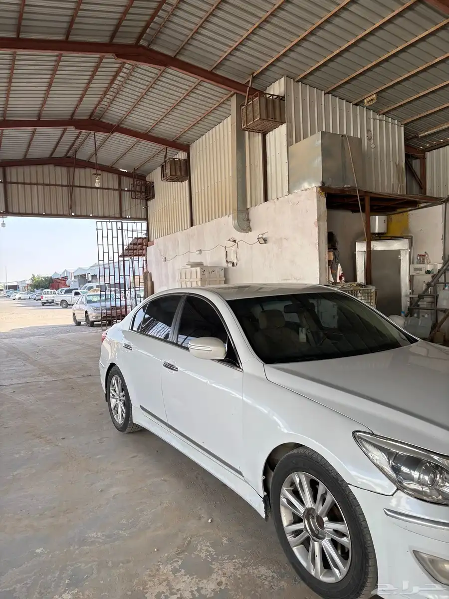 جنسس 2014 4