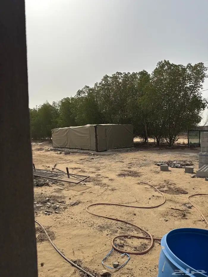 بيت محمي عنبر دجاج لاحم الايجار 5