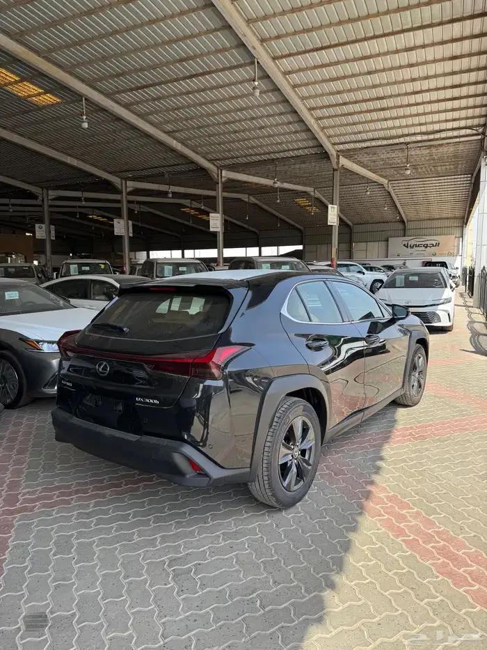 لكزس UX300h فئة AH هايبرد 2025 2