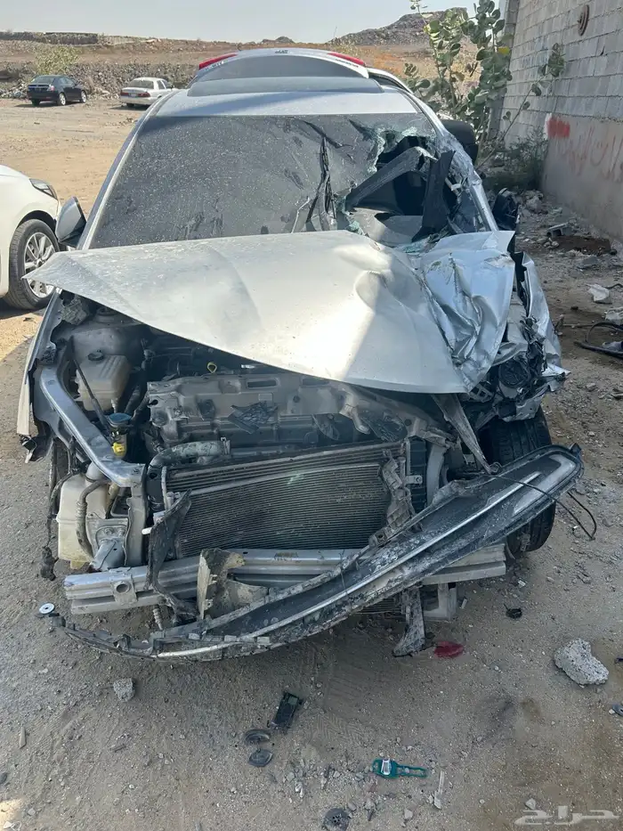شنجان السفن 21 2