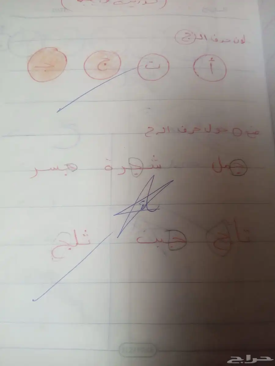 معلمة تأسيس ومتابعة مصرية 9