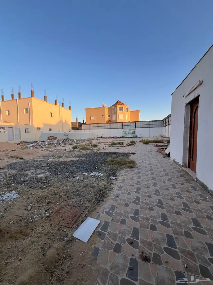 تيماء 2