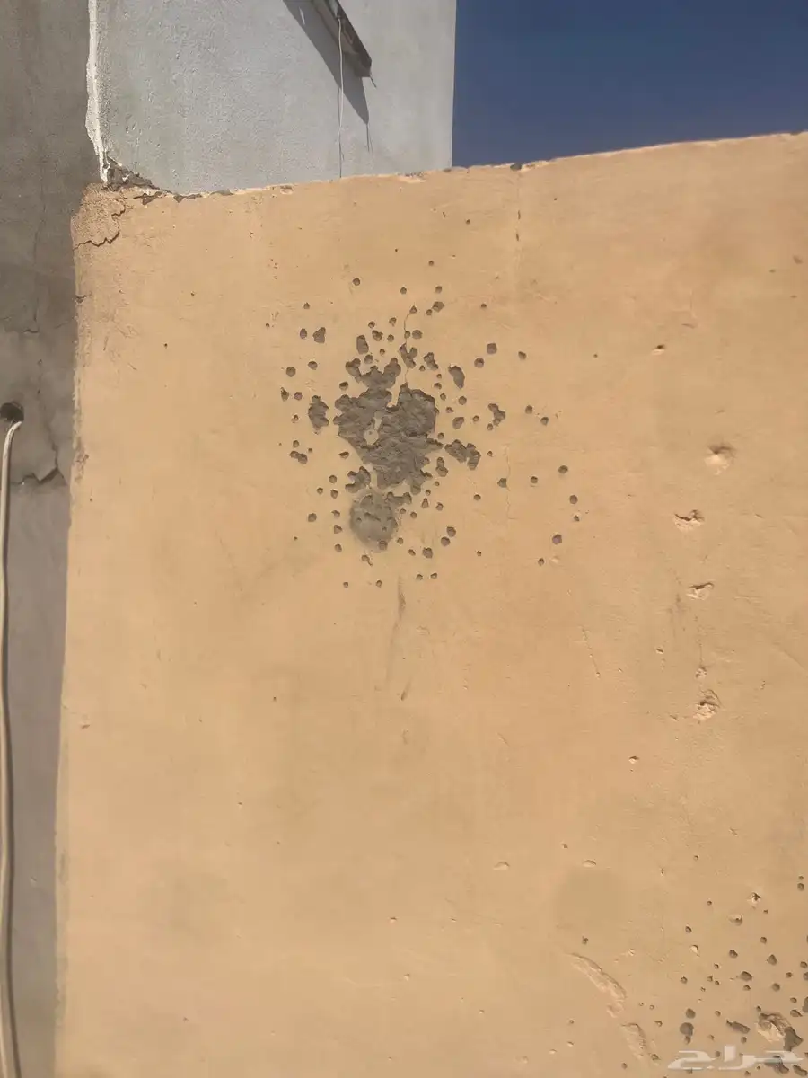 شوزل ام وحده مصورتها نار 0