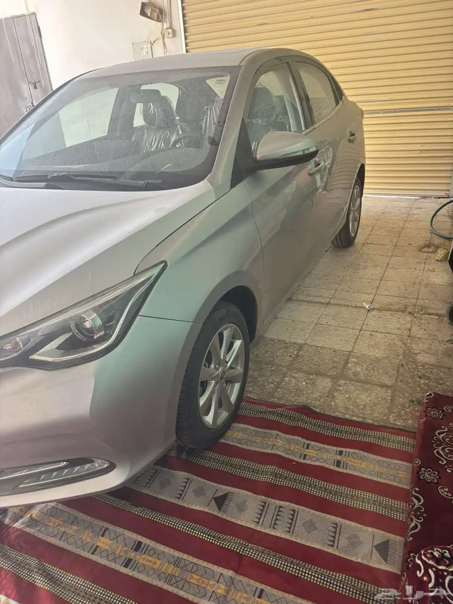 شانجان السفن 2025 7
