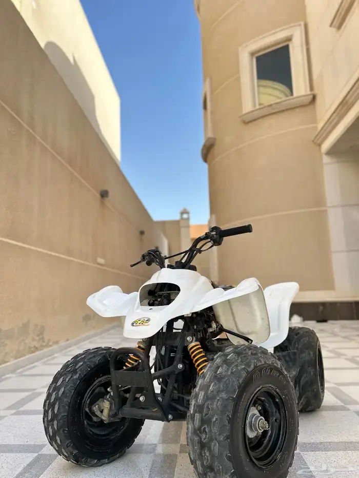 دباب رام مقاس 100 1