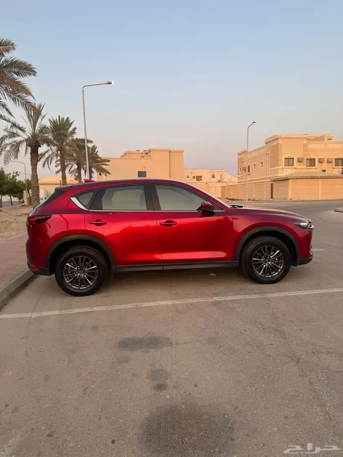 تم البيع 6