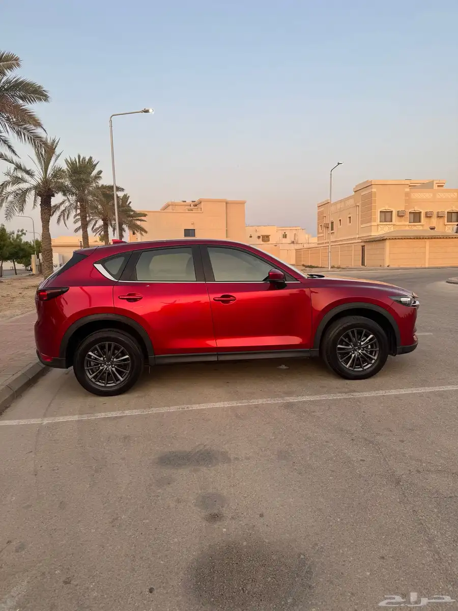 تم البيع 6