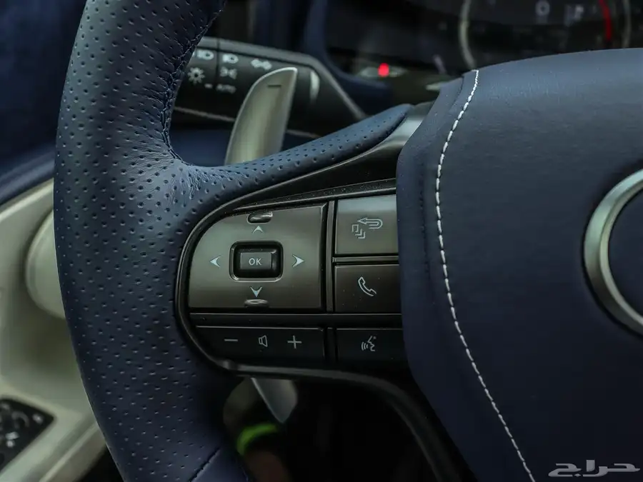 2024 Lexus LC Performance Package 20