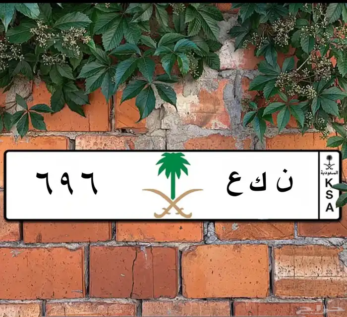 لوحه ن ك ع 0696 للبيع 1