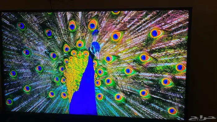شاشة ال جي اخت الجديدة TV LG تلفزيون من إل جي سمارت 3
