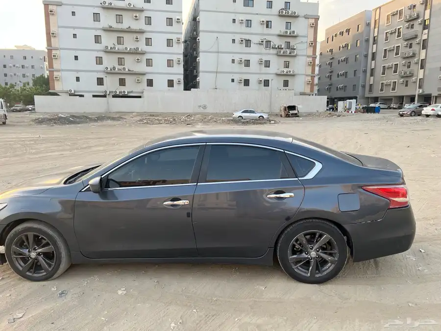 التيما 2013 6 سرندل 3