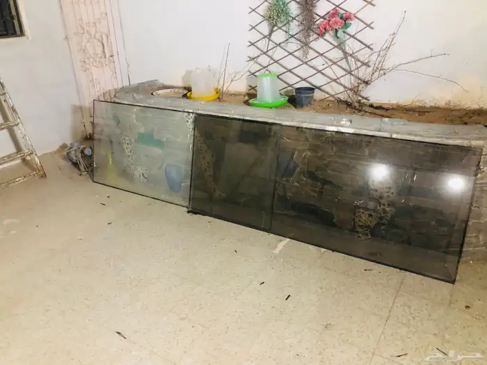 زجاج باب شباب 1