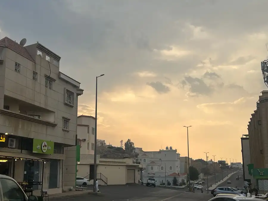 محل الدواجن للتقبيل 9