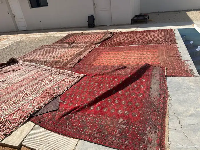 زل ايراني 0