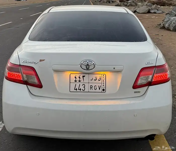 لوحه مميزه للبيع 0