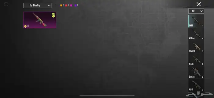 حساب ببجي للبيع 13